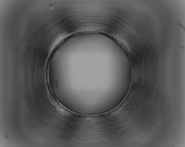 X0000091921086200709191335