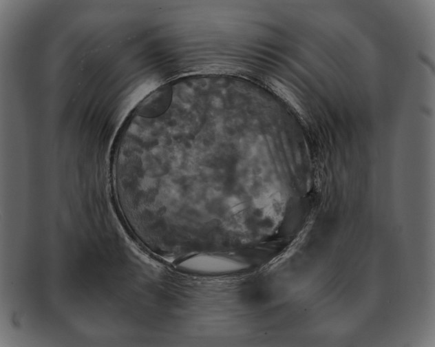 X0000091921087200709191335