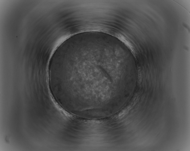 X0000091921088200709191335