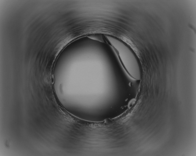 X0000091921089200709191335