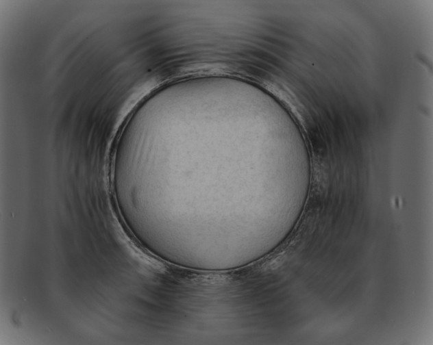 X0000091921090200709191335