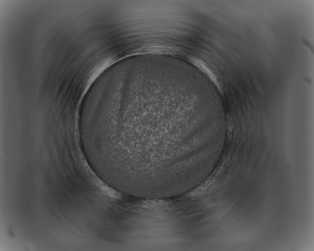 X0000091921091200709191335