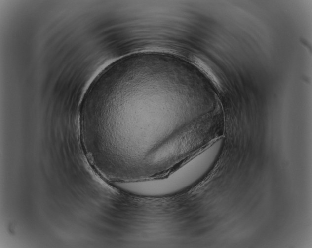 X0000091921092200709191335