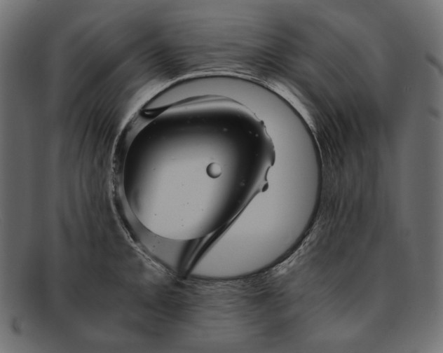 X0000091921093200709191335