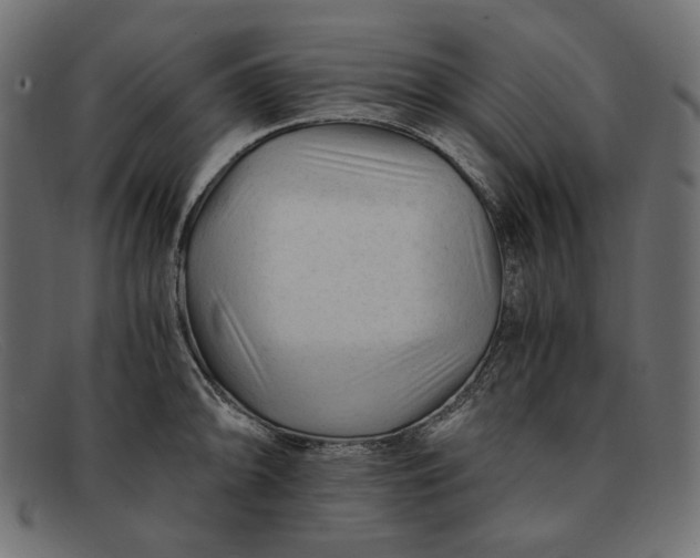 X0000091921094200709191335