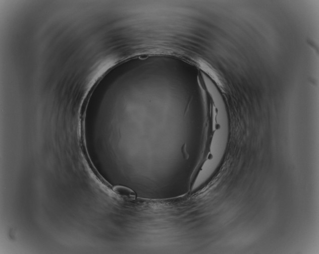 X0000091921095200709191334