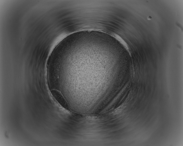 X0000091921096200709191334
