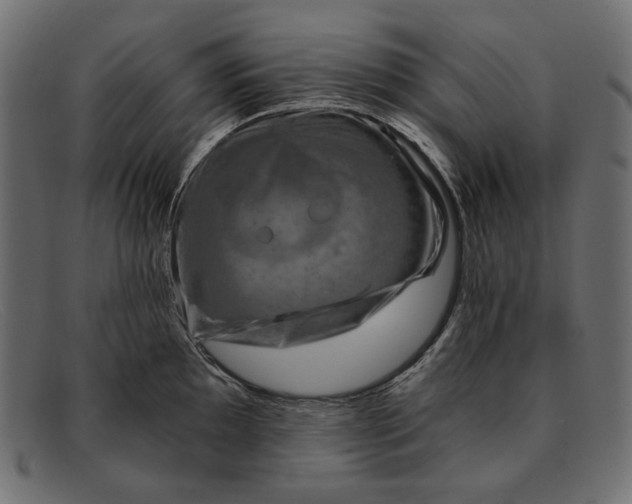 X0000091921097200709191334