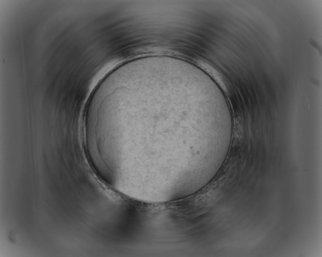 X0000091921098200709191334