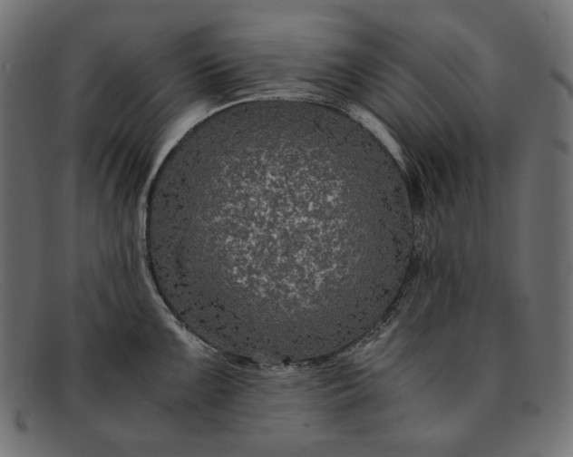 X0000091921099200709191334