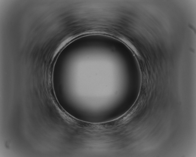 X0000091921101200709191334