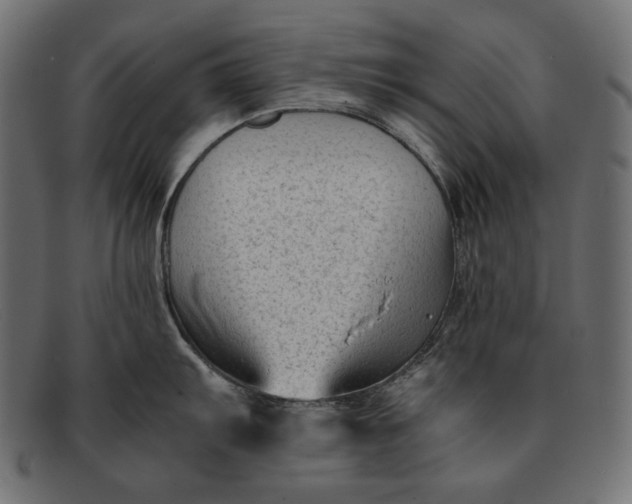 X0000091921103200709191334