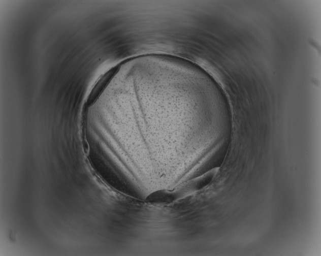 X0000091921104200709191334