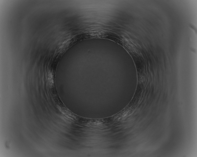 X0000091921106200709191334