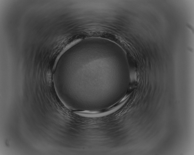 X0000091921108200709191334