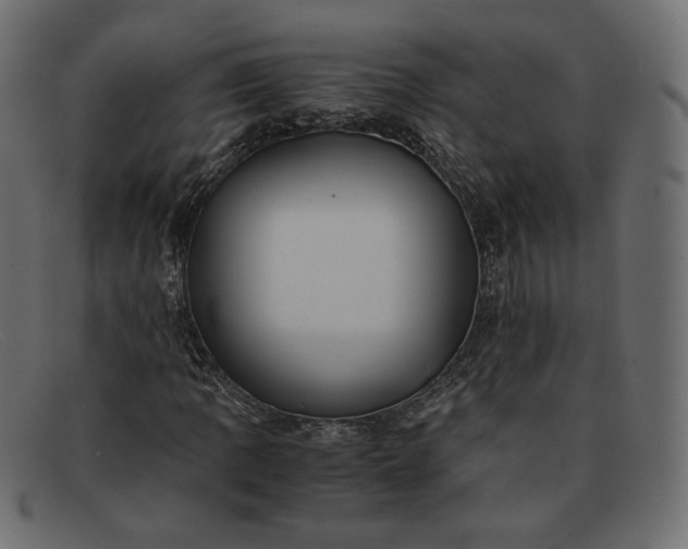X0000091921109200709191334