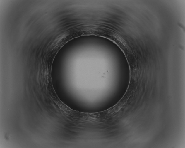 X0000091921111200709191334