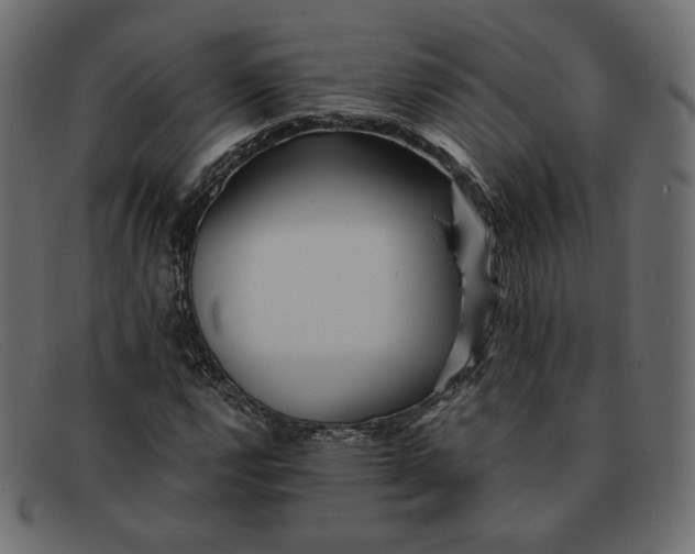 X0000091921112200709191334