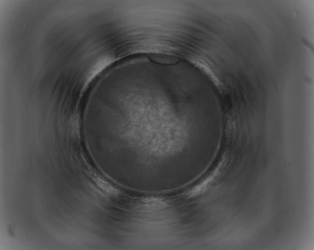X0000091921114200709191334