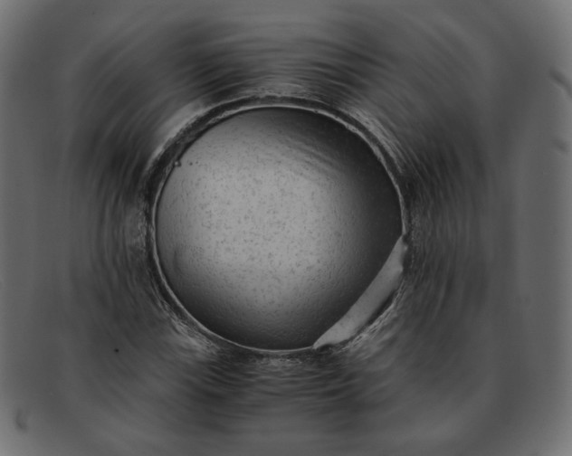 X0000091921115200709191334