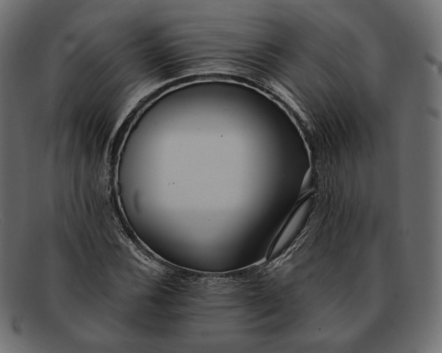 X0000091921116200709191334