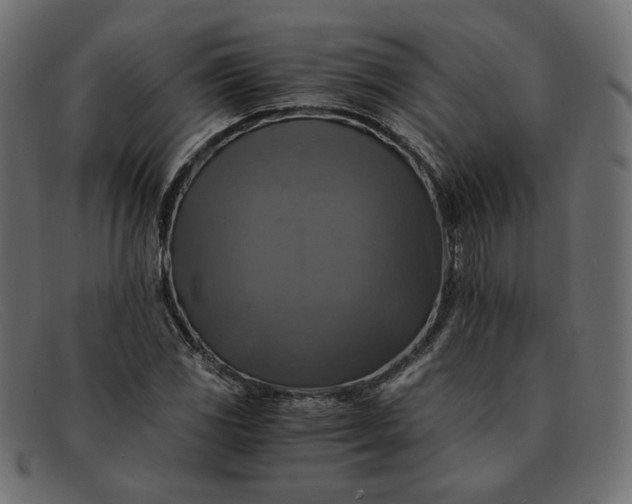 X0000091921117200709191334