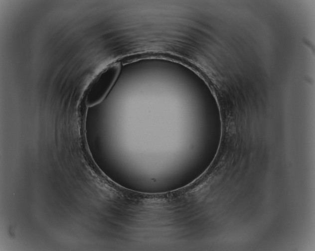 X0000091921118200709191334