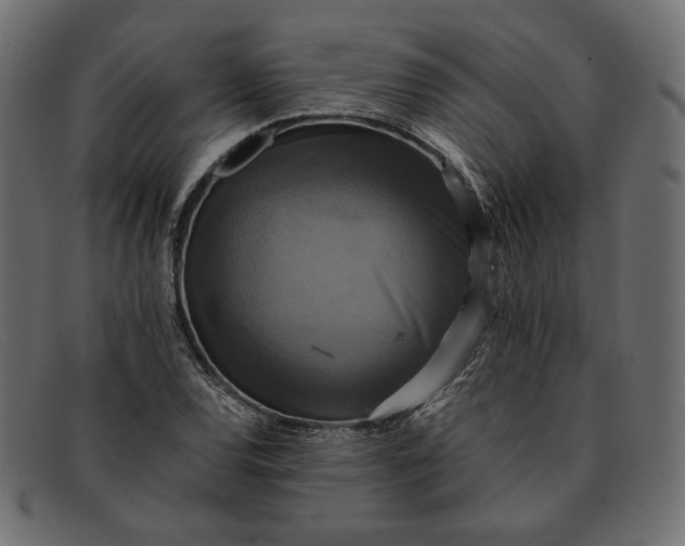 X0000091921120200709191334