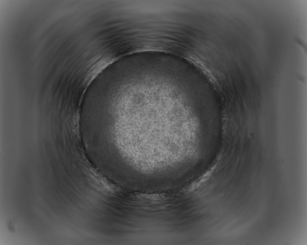 X0000091921121200709191334
