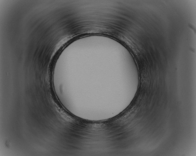 X0000091921122200709191334