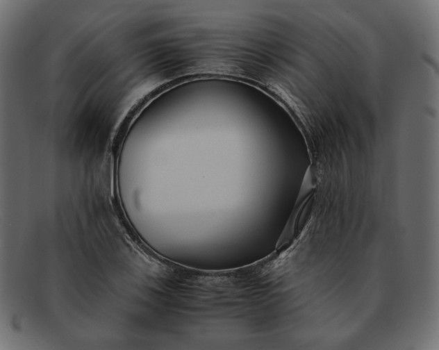 X0000091921123200709191334