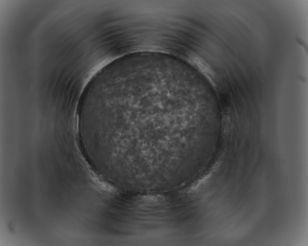 X0000091921125200709191334