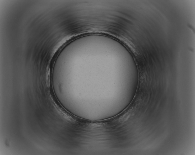 X0000091921126200709191334
