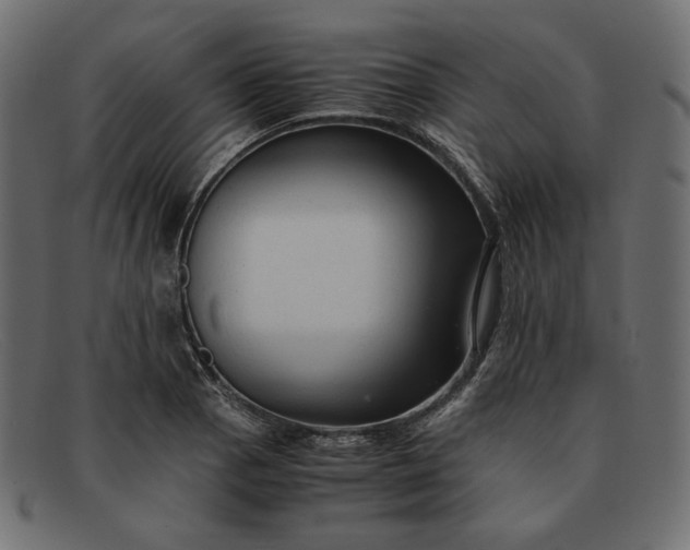 X0000091921129200709191334