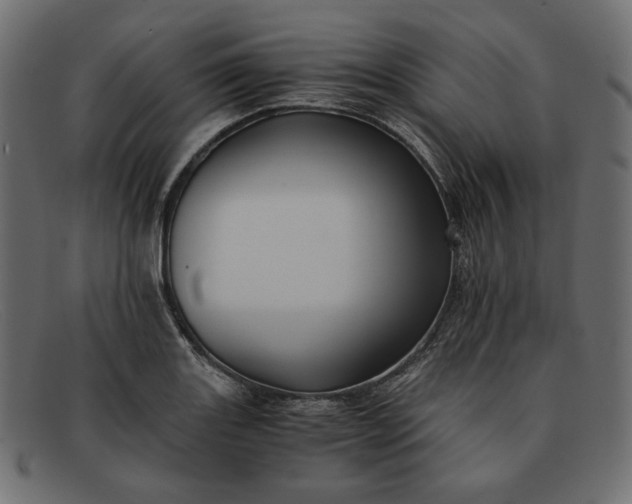 X0000091921131200709191334