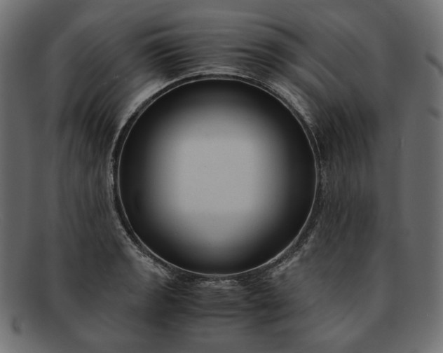 X0000091921133200709191334