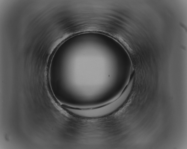 X0000091921134200709191334