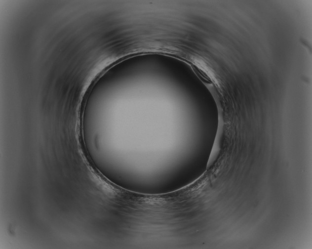 X0000091921136200709191334