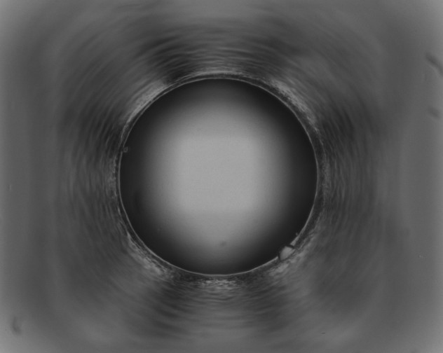 X0000091921137200709191334