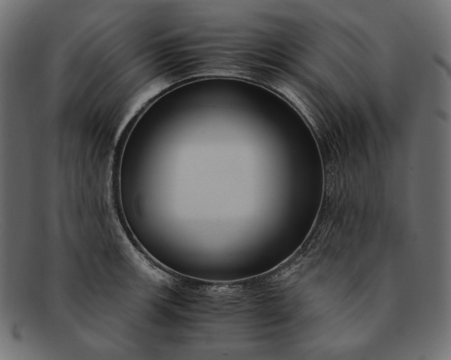 X0000091921139200709191334