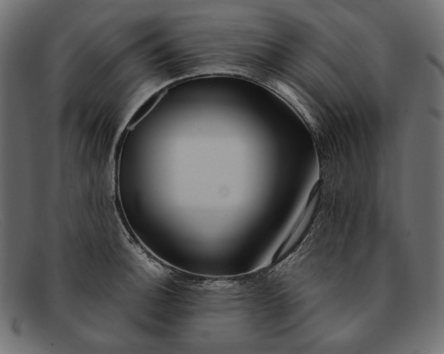 X0000091921140200709191334