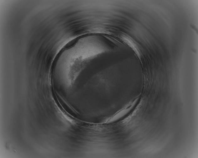 X0000091921141200709191334