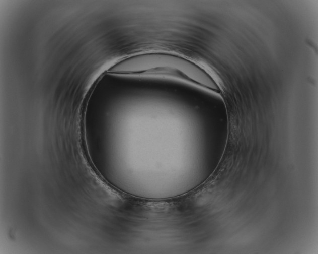 X0000091921142200709191334