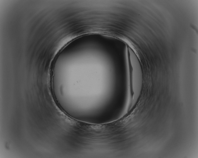 X0000091921147200709191334