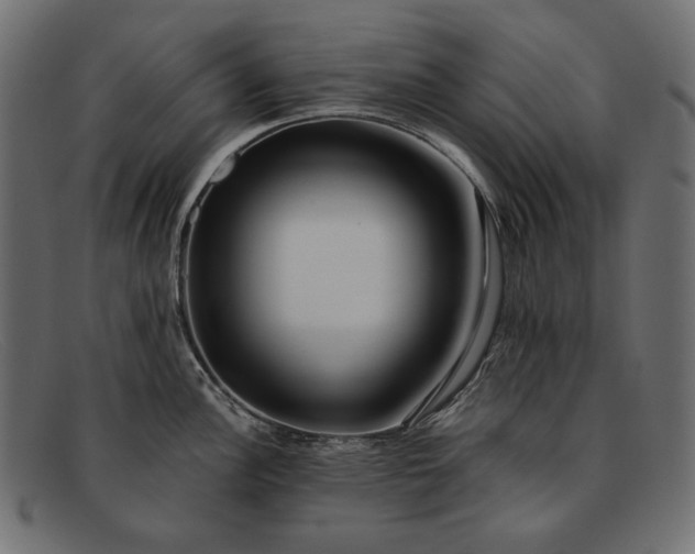 X0000091921148200709191334