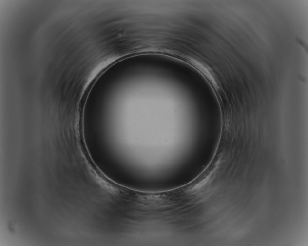 X0000091921149200709191334