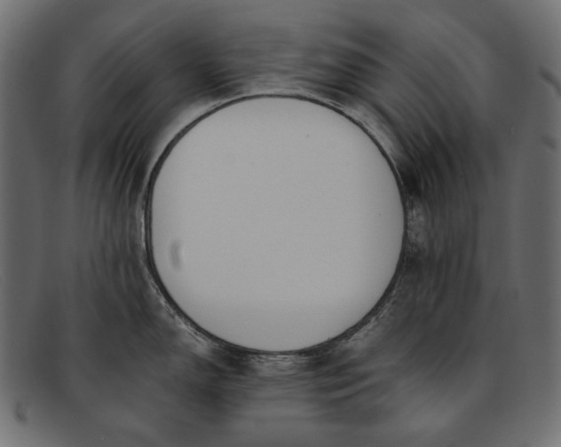 X0000091921150200709191334