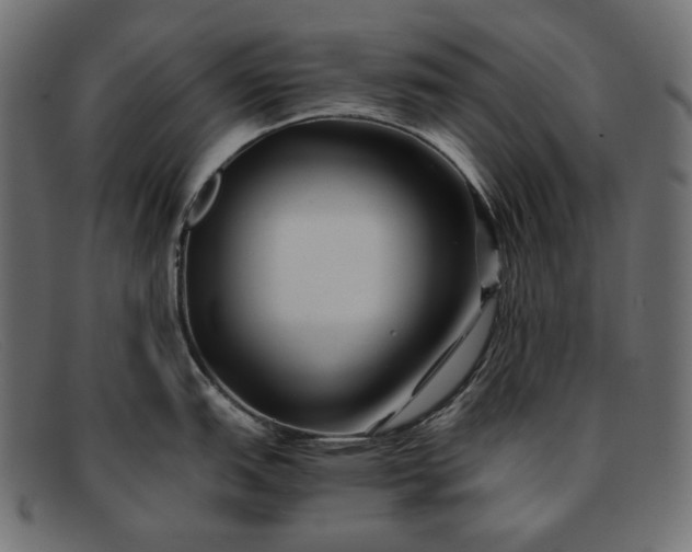 X0000091921151200709191334