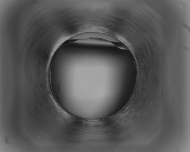 X0000091921152200709191334