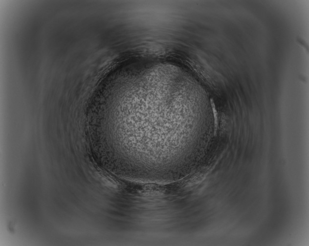 X0000091921153200709191334